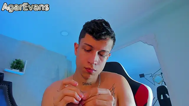 AgarEvans webcam