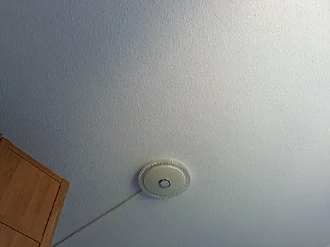 dlosexyhann webcam