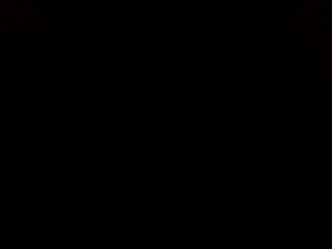 Sarpeleveninos85 webcam