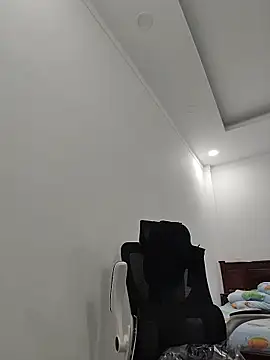 Fanritar webcam