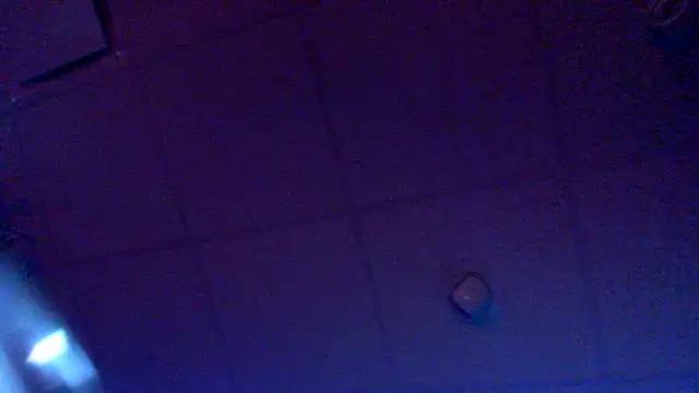 eurodiznee webcam