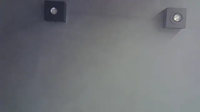 SkinnyKitten webcam