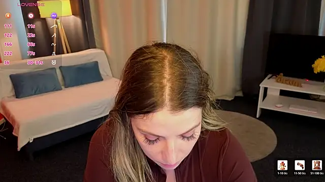 evafolver webcam