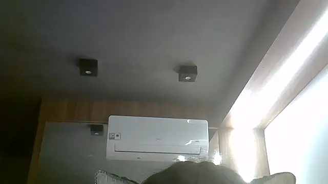 SkinnyKitten webcam