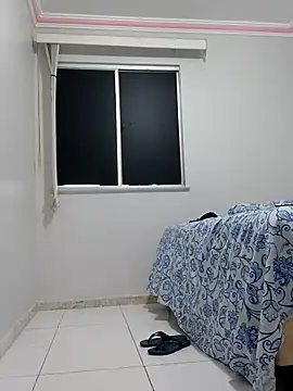 Silvakkfitk webcam