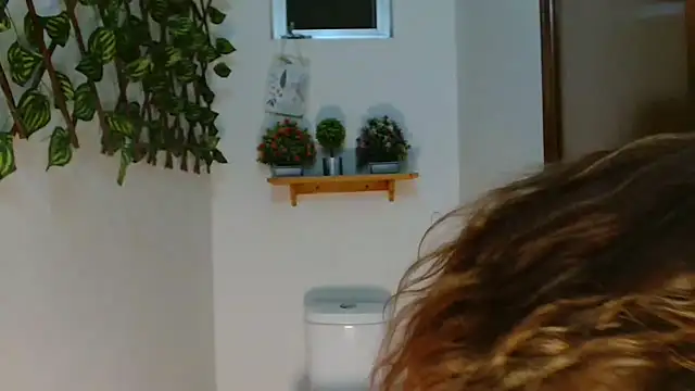 3littles webcam