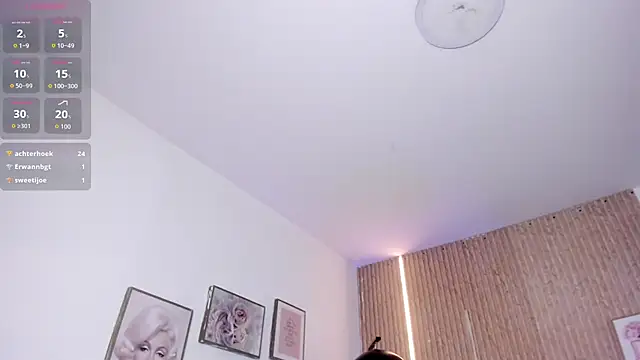ana_ev webcam