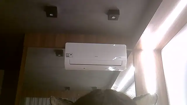 SkinnyKitten live cam