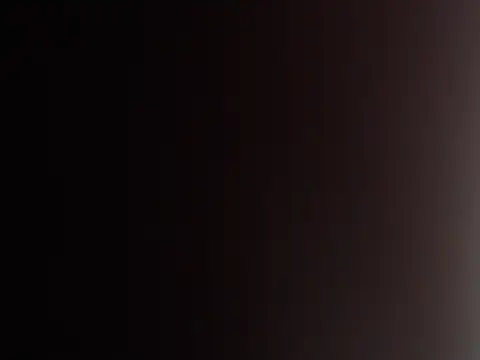 VexxieXO
