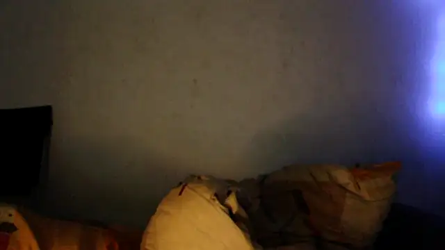 young_swisscouple webcam