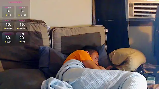 YoBleez webcam