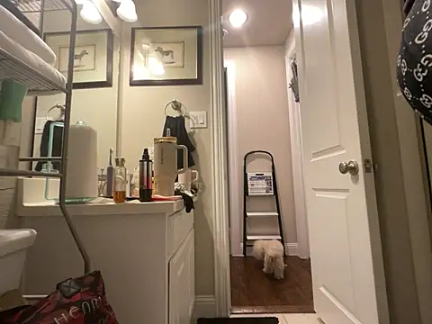 wynterheat webcam