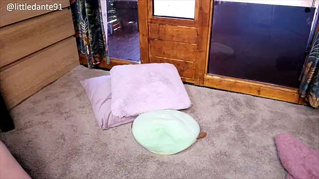 LittleMe97 live sex cam