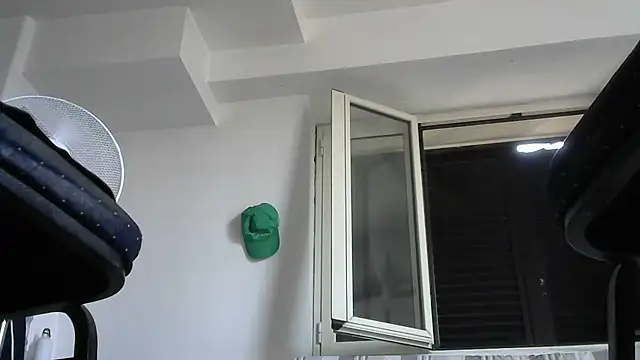 alkro63 webcam