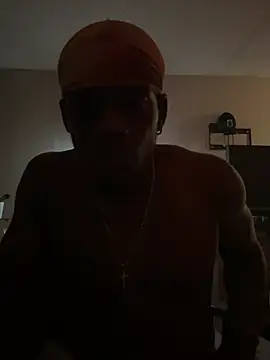 PreciseBil16478 webcam