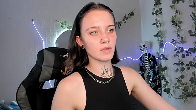 Elastikisss webcam