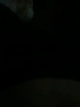 sami1234f webcam
