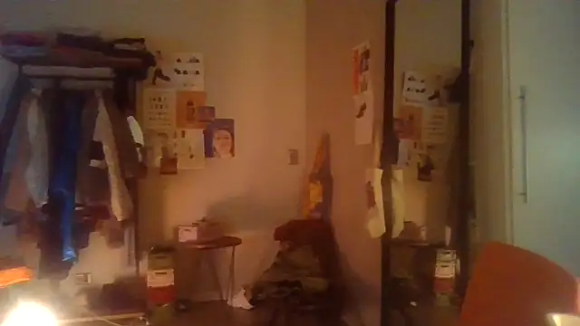 plsmecha webcam