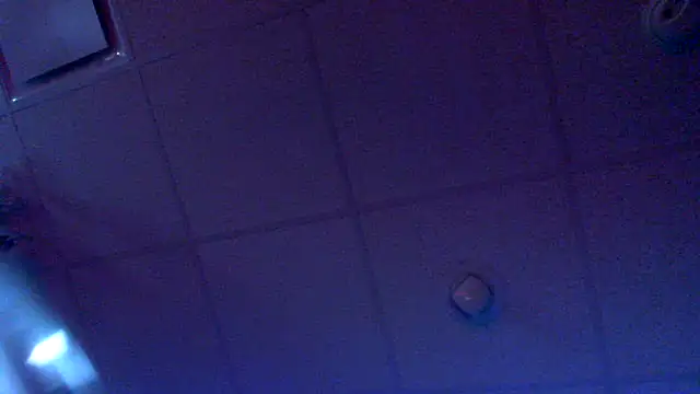 eurodiznee webcam