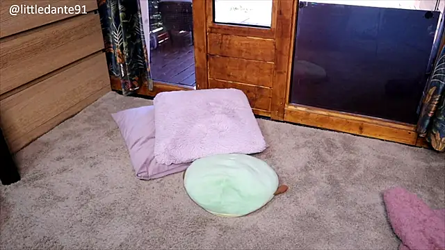 LittleMe97 webcam