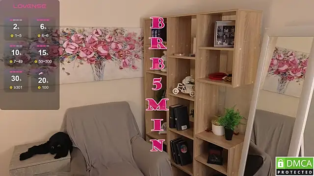 Sue_Sanders webcam
