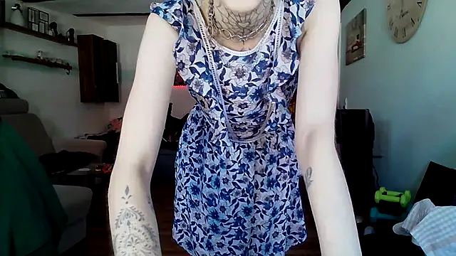 BlueVelvetBat webcam