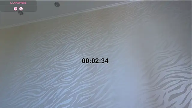 DestinyTurner webcam