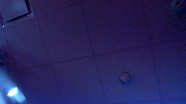 eurodiznee webcam