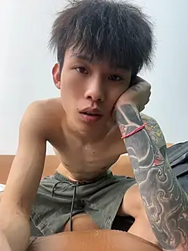 KPL-11 webcam