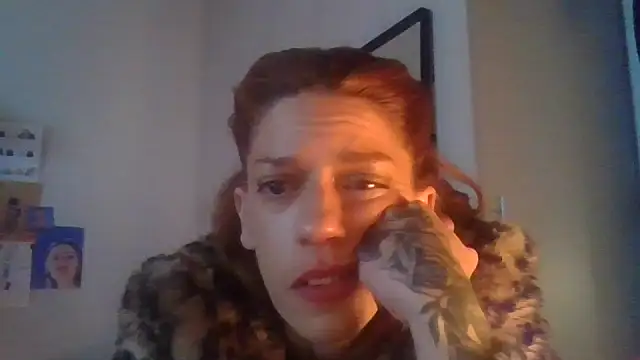 plsmecha webcam