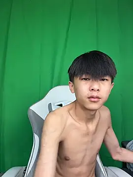 DD-101 webcam
