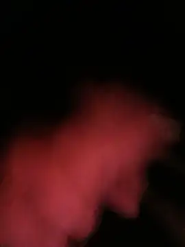 Sexilove7 webcam