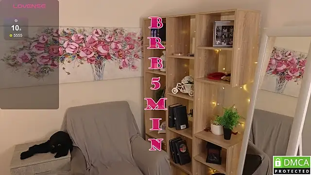 Sue_Sanders webcam