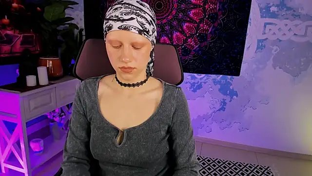 LidaDarknet webcam