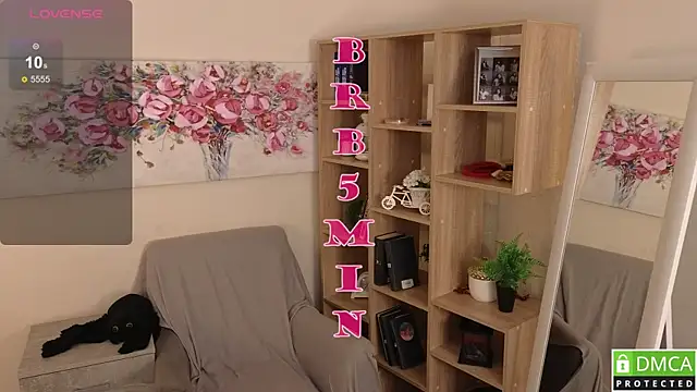 Sue_Sanders webcam