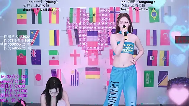 CCTW-100 webcam