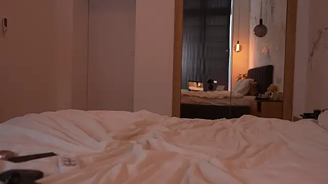 ibiddi webcam