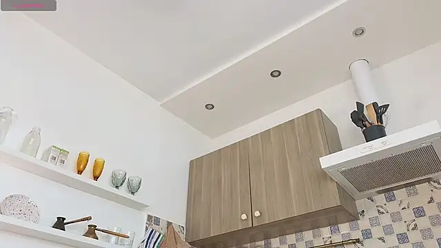ByteBlushh webcam