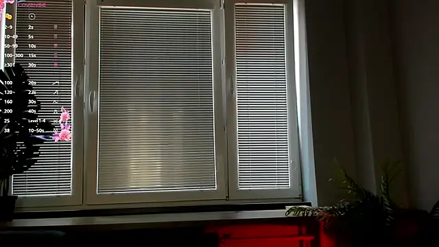JosefaDonelan webcam