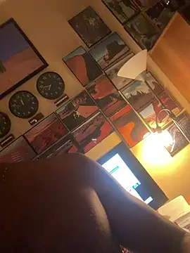 DarkfleX webcam