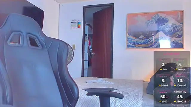 RJBarto webcam