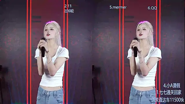 SK010 webcam