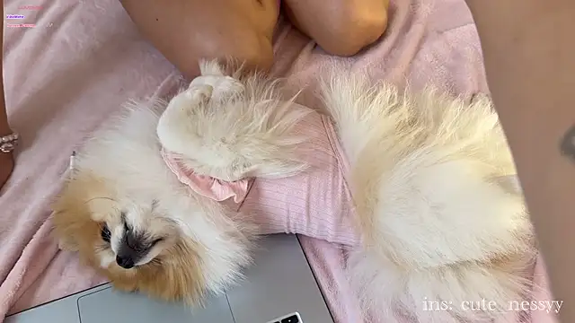 CuteNessy webcam