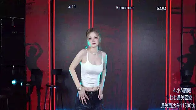 SK010 webcam
