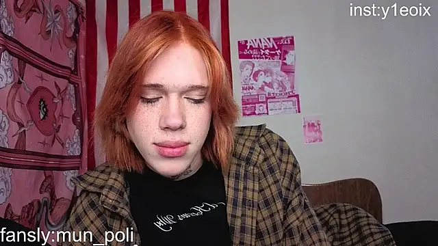 polimun webcam