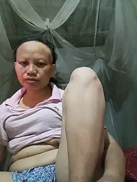 Ila-min webcam