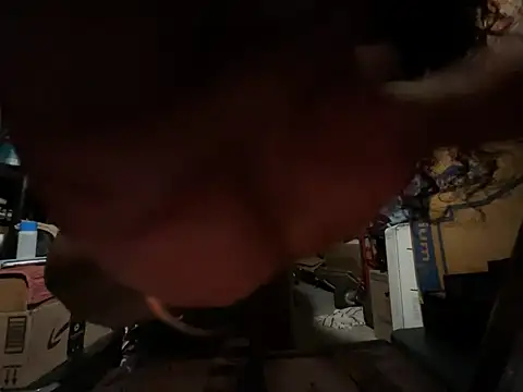 wynterheat webcam