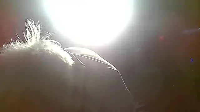 Makowboy webcam