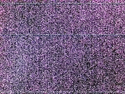 elturcudito webcam