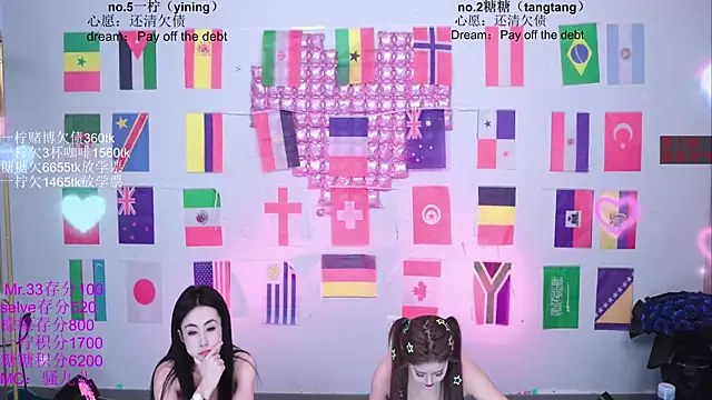 CCTW-100 webcam